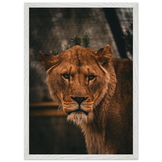 20857ee2-3f04-465e-abaf-f838ae8dd884