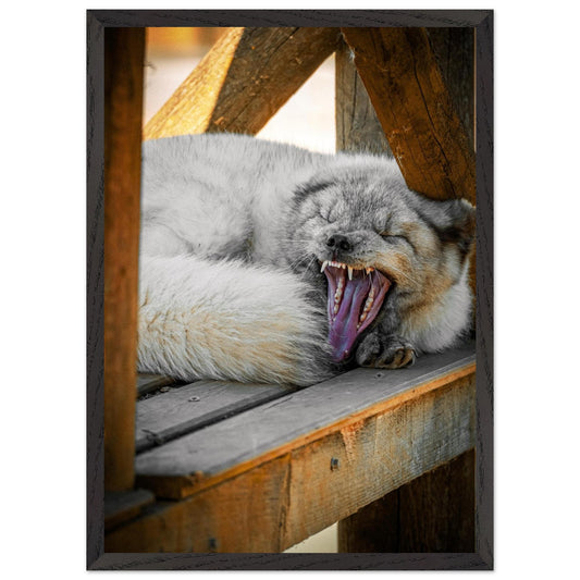 286fe69f-9487-4a18-8cb1-84656b9152b9