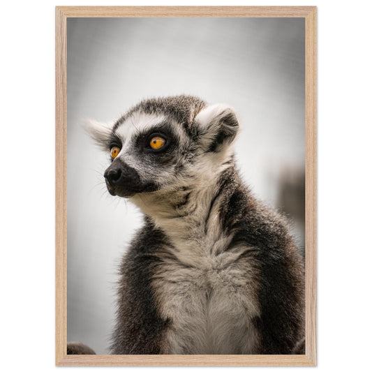 40948ed5-6a33-43cc-8354-f1819523a03b