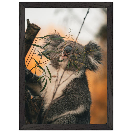 4dd02fd7-3903-4727-b163-d8275c28fd27