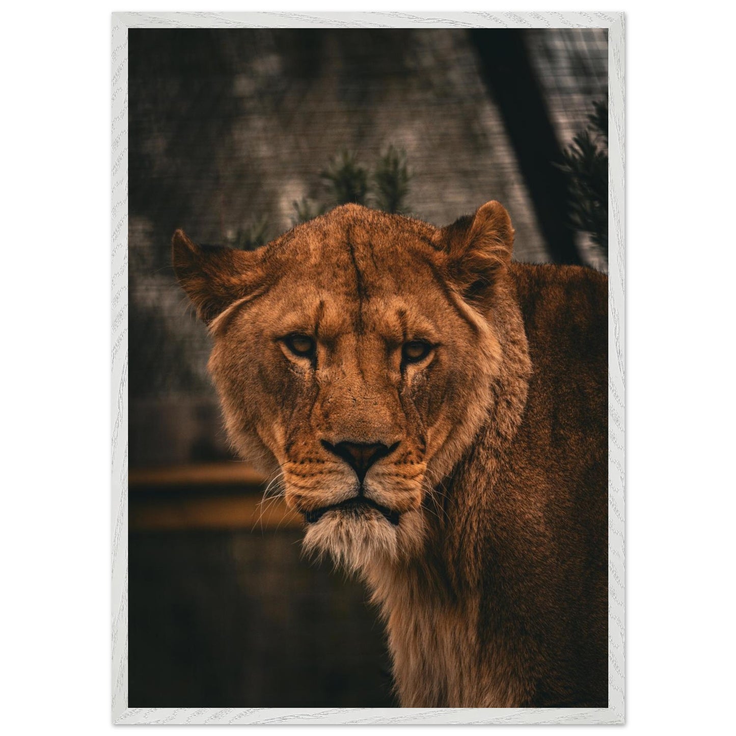 515c8d4f-6b9e-4202-b08a-fa20ea42e3fd