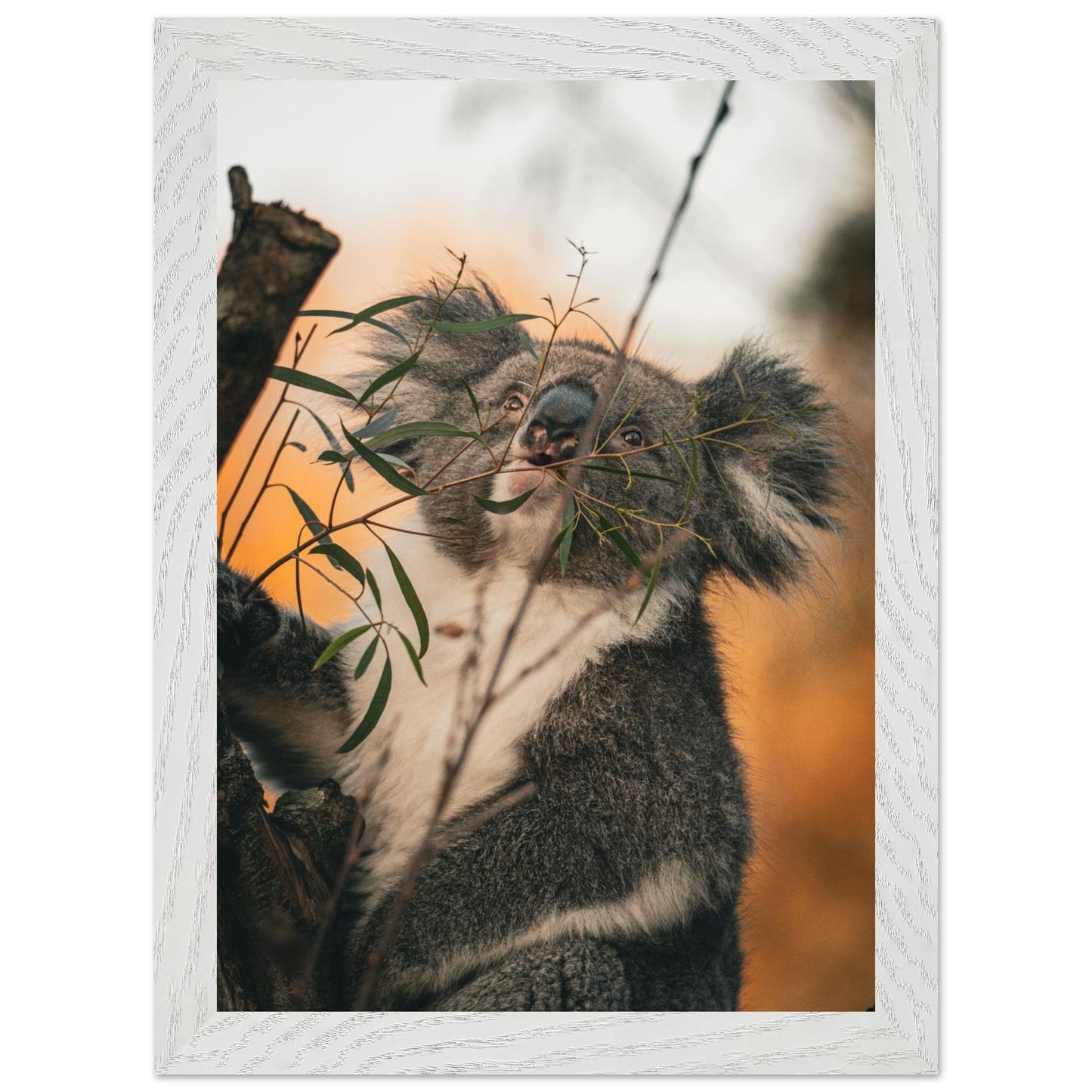 a0097f6f-001c-4255-86bc-ddc75a6a8358