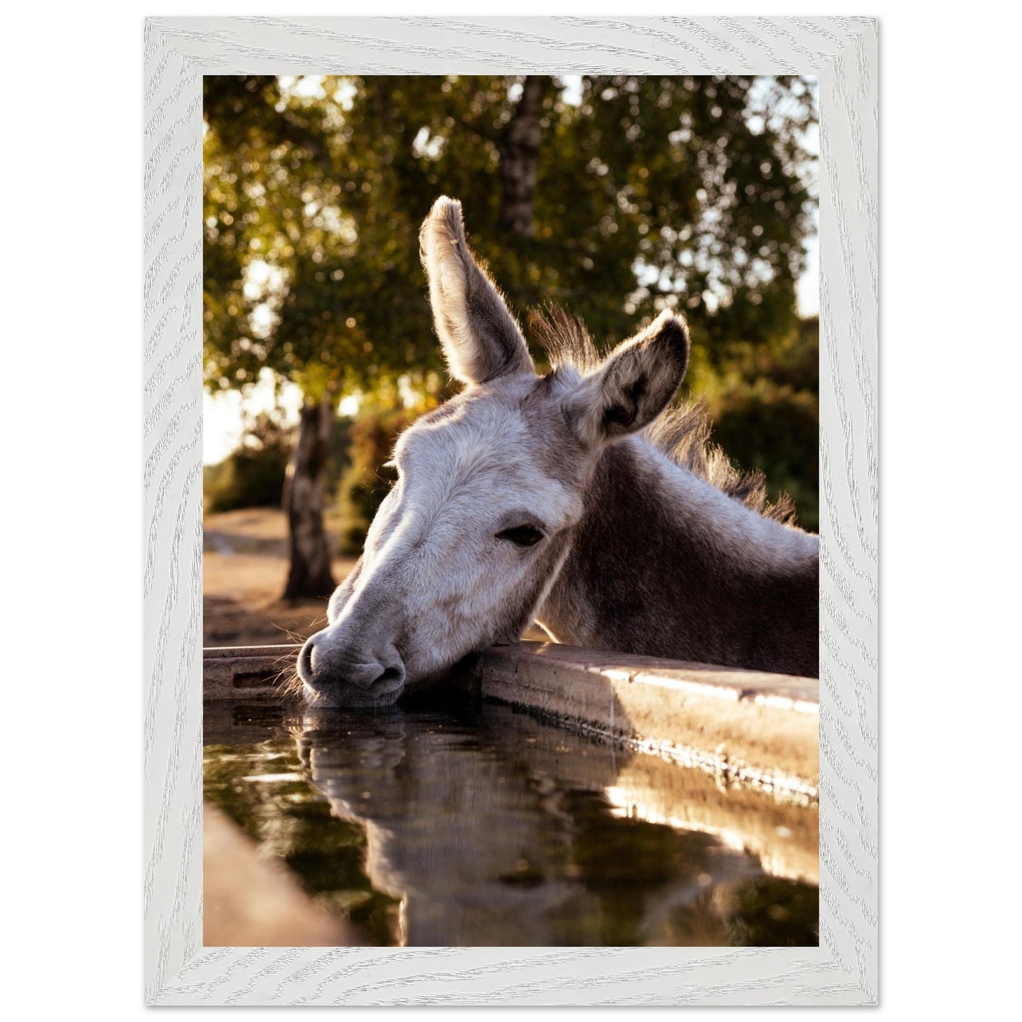 ab759159-e88d-4bd7-bc89-d8884784560b