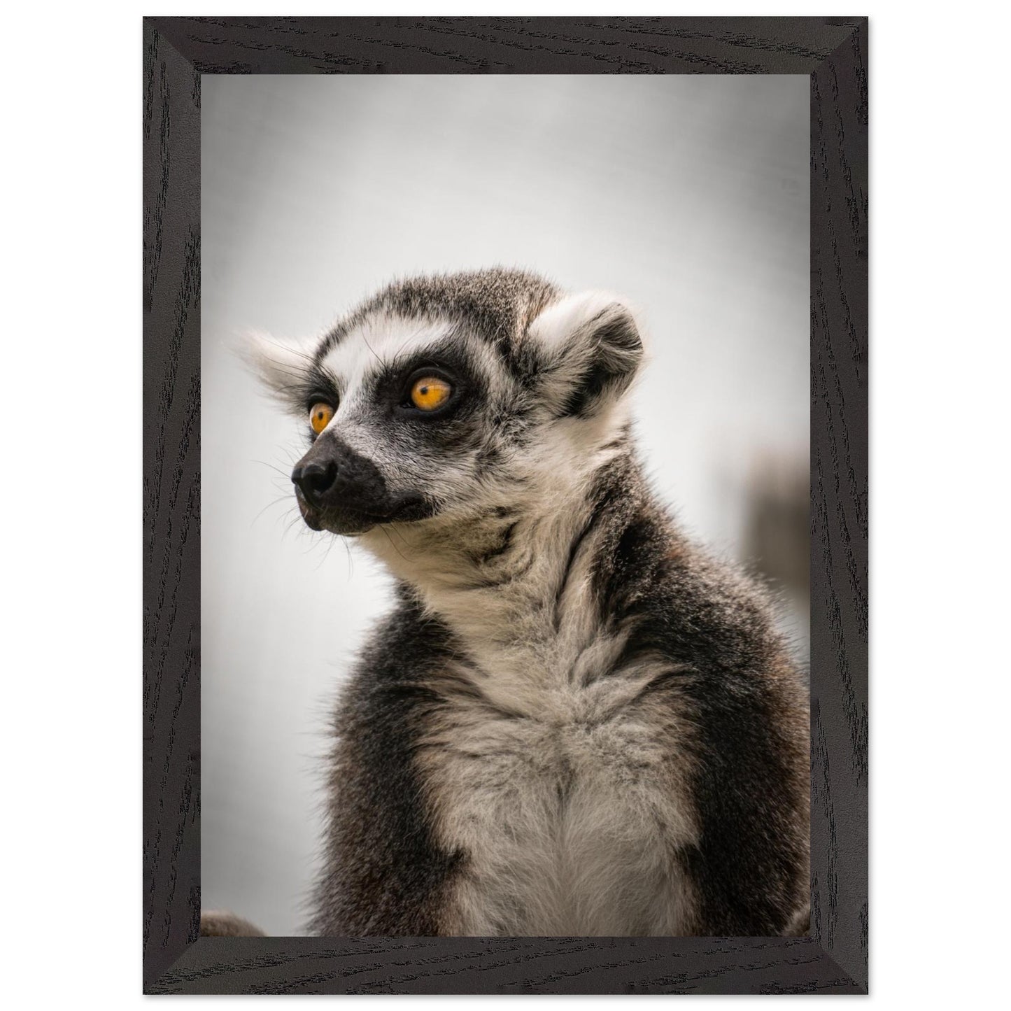 dcad599e-53a8-40e4-8529-a73bd721237b