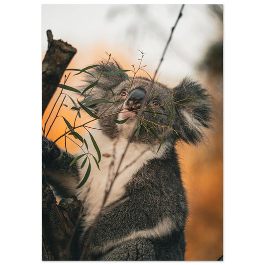 36e56f23-d4a7-43b2-8bb5-1938e7ac0a48