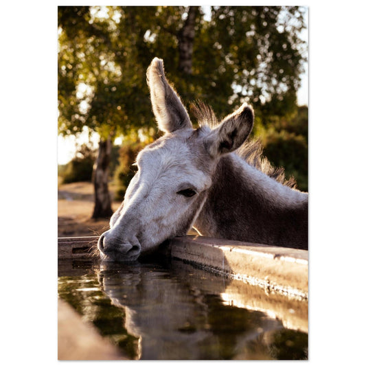 6f692b0c-eede-4cc9-a6d4-494b1d975509