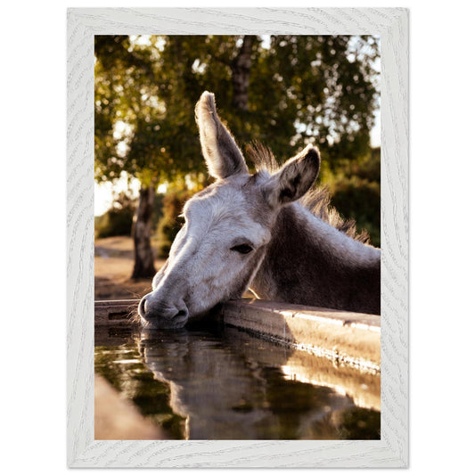 7993c93f-9464-4d1c-a786-6f192e413296